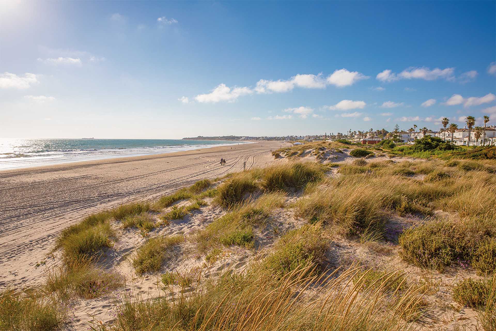 La Barrosa Beach
