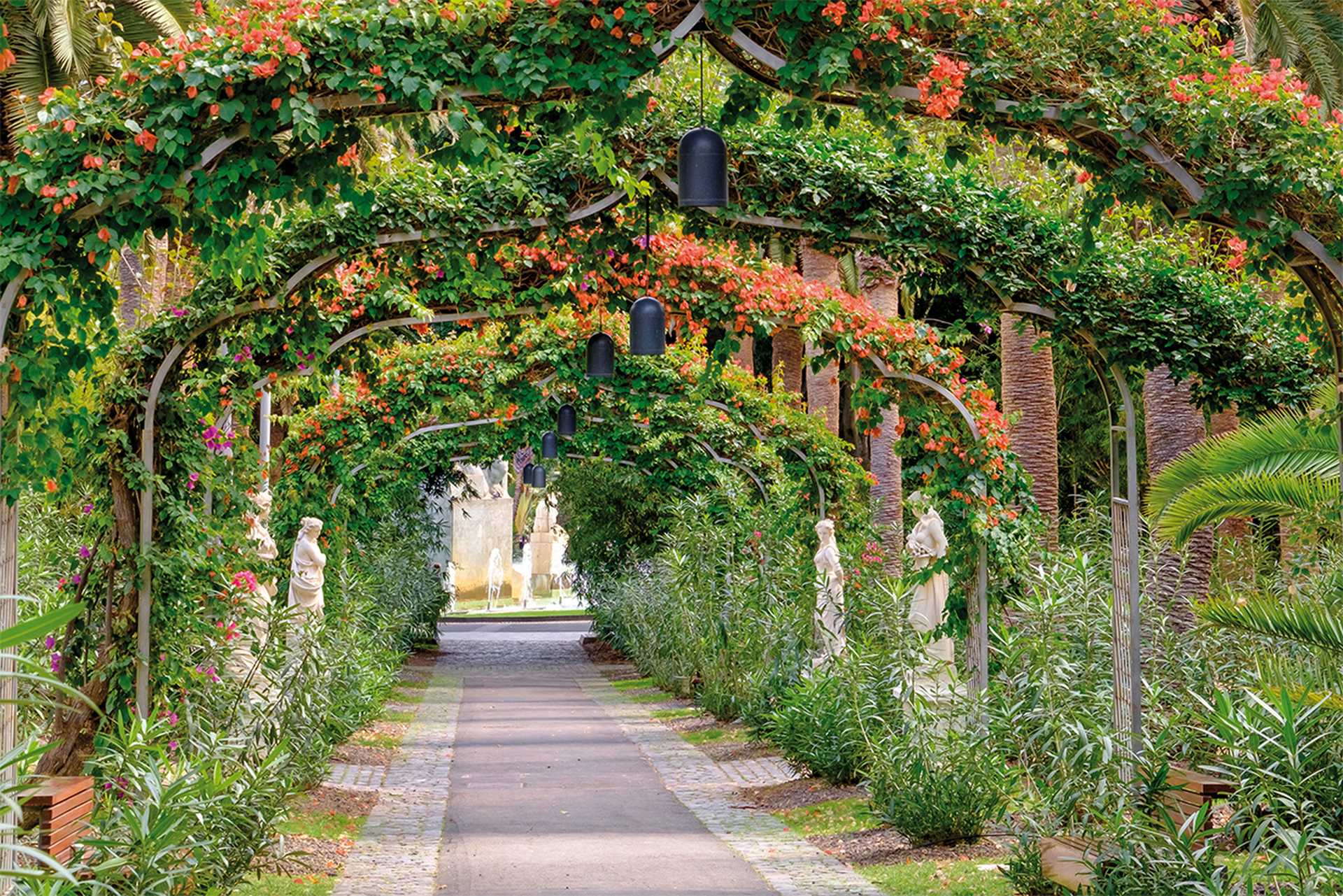 Parque Garcia Sanabria, Tenerife