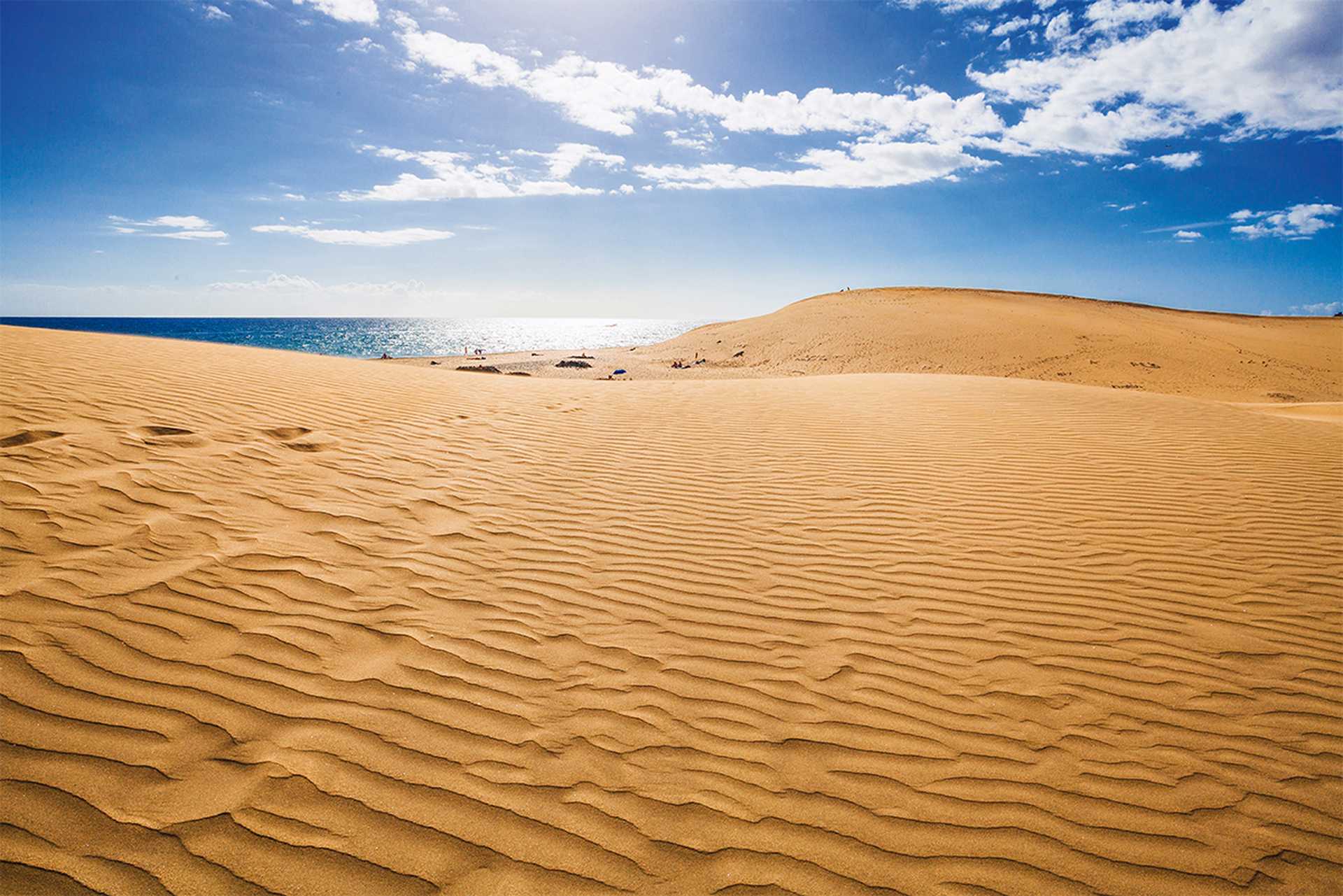 Sand dunes of Maspalomas