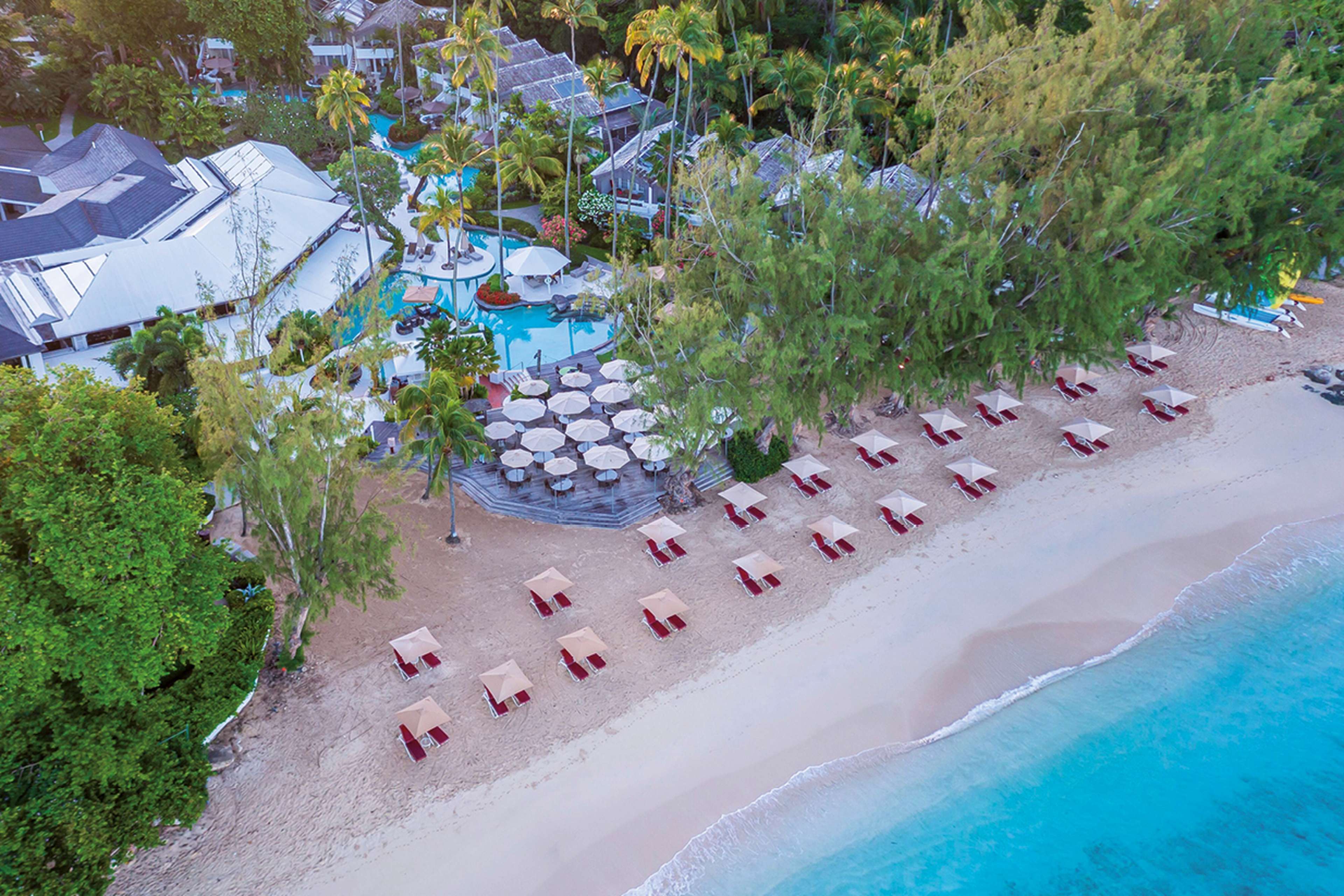 Colony Club by Elegant Hotels Saga Holidays