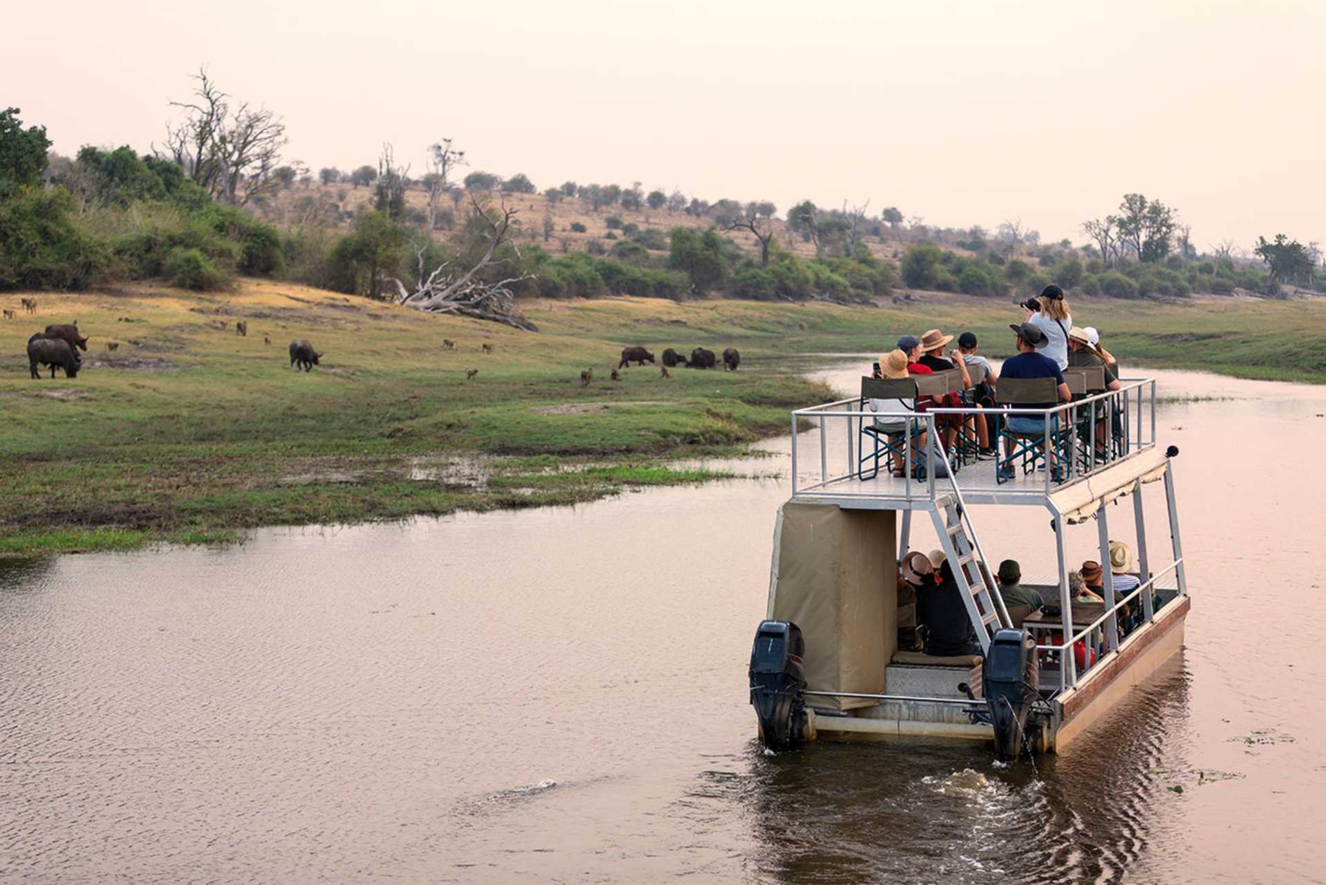 Safari river cruise