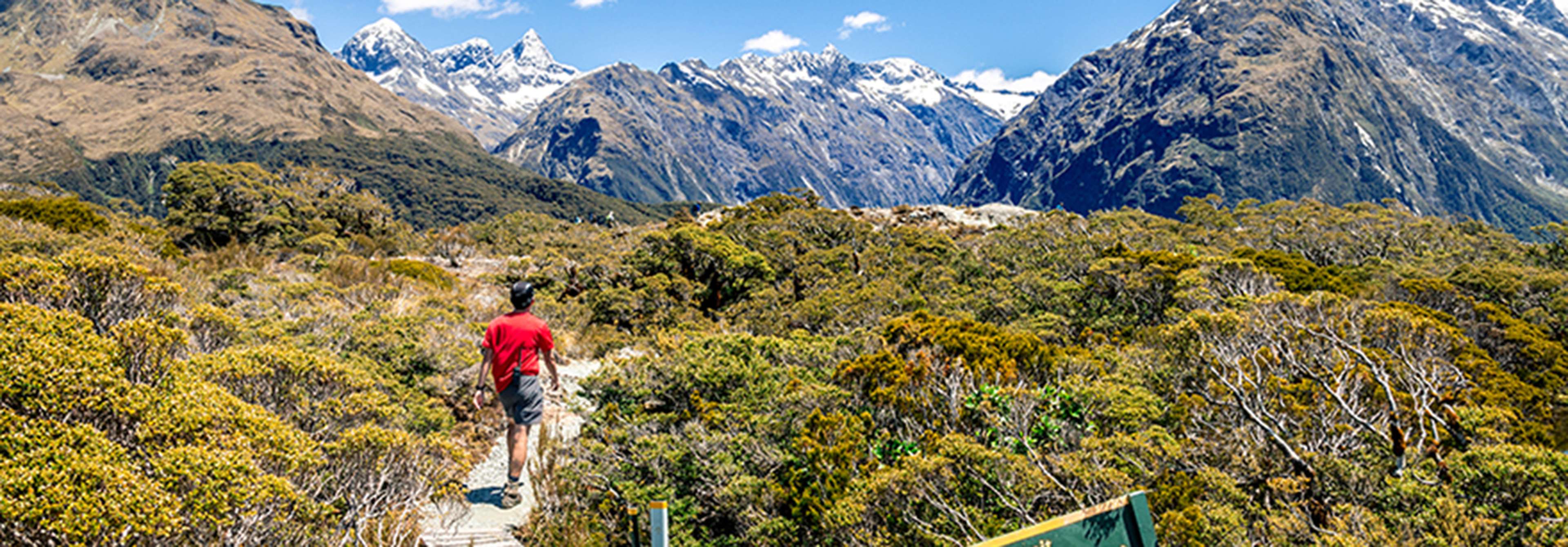 Fiordland Great Walks Explorer - Hero