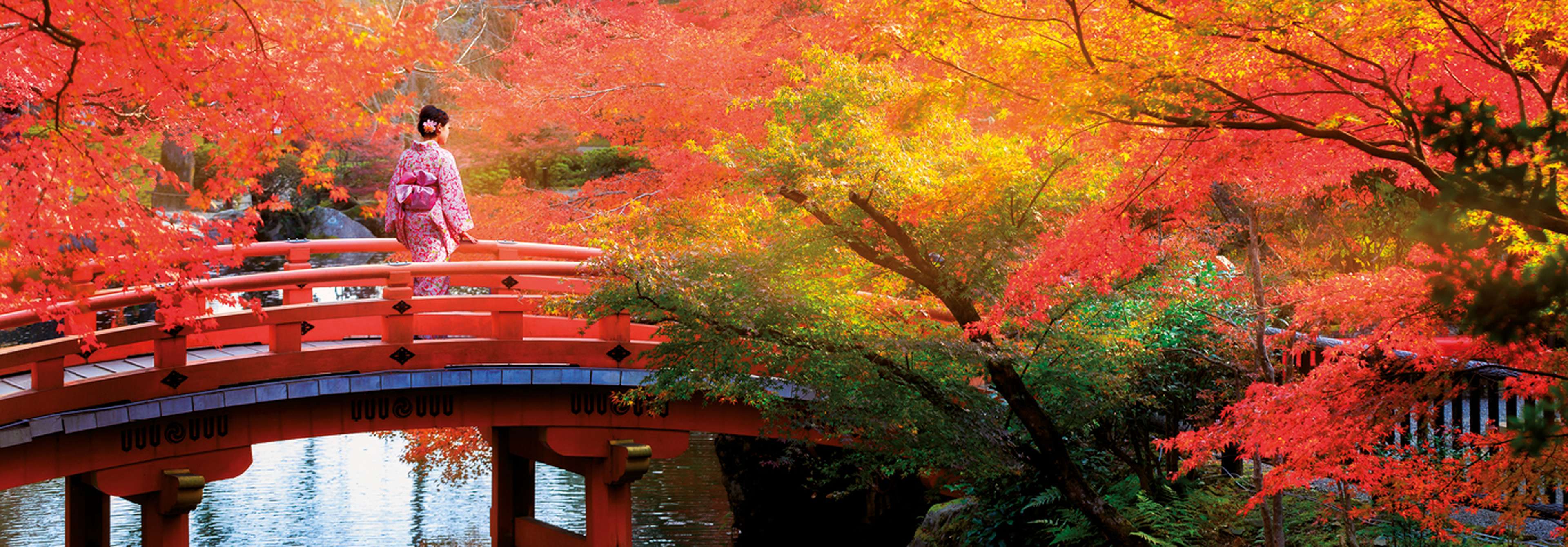 Colours of Japan Saga Holidays