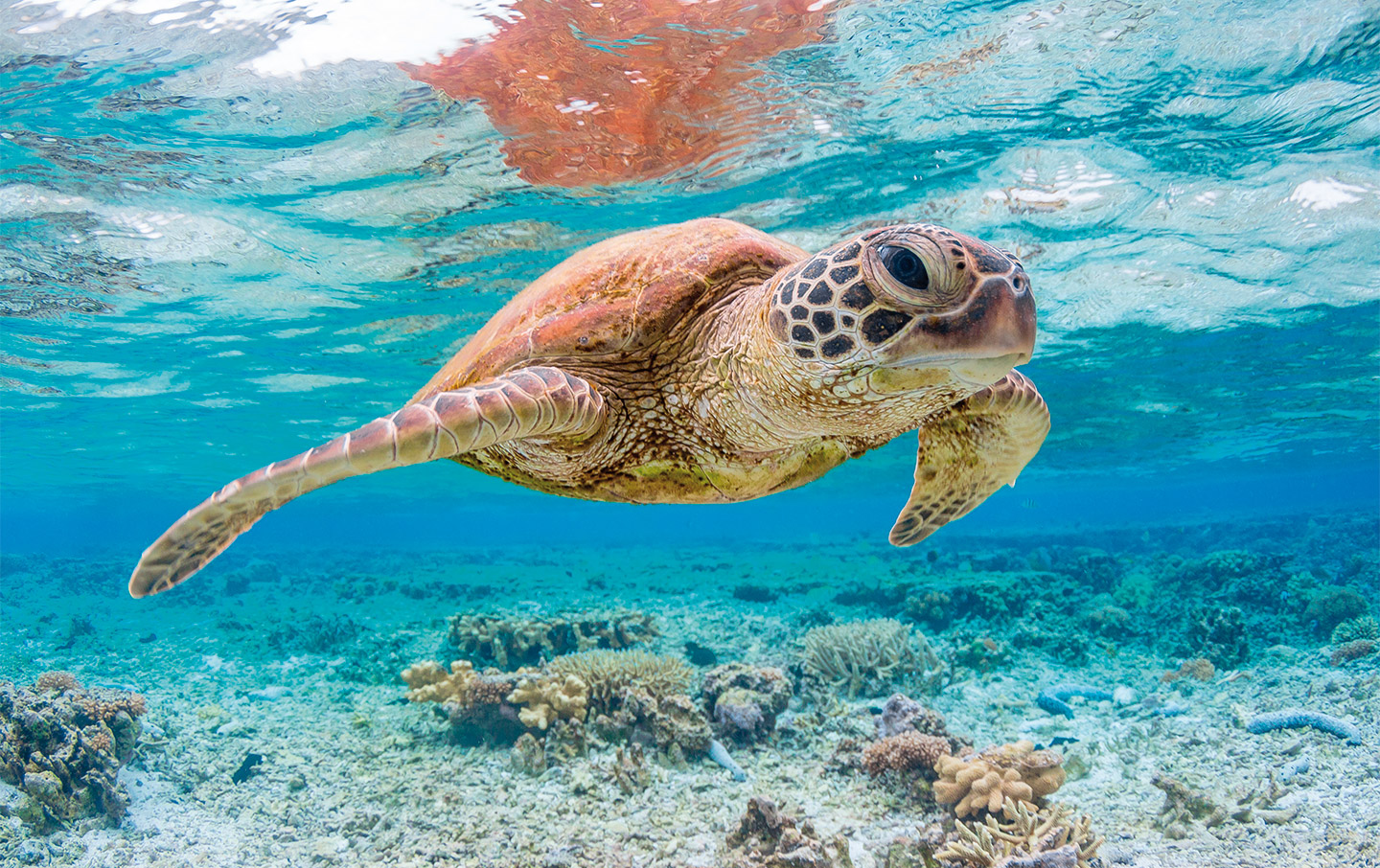 Seychelles guide: what to know before you go - Saga Holidays