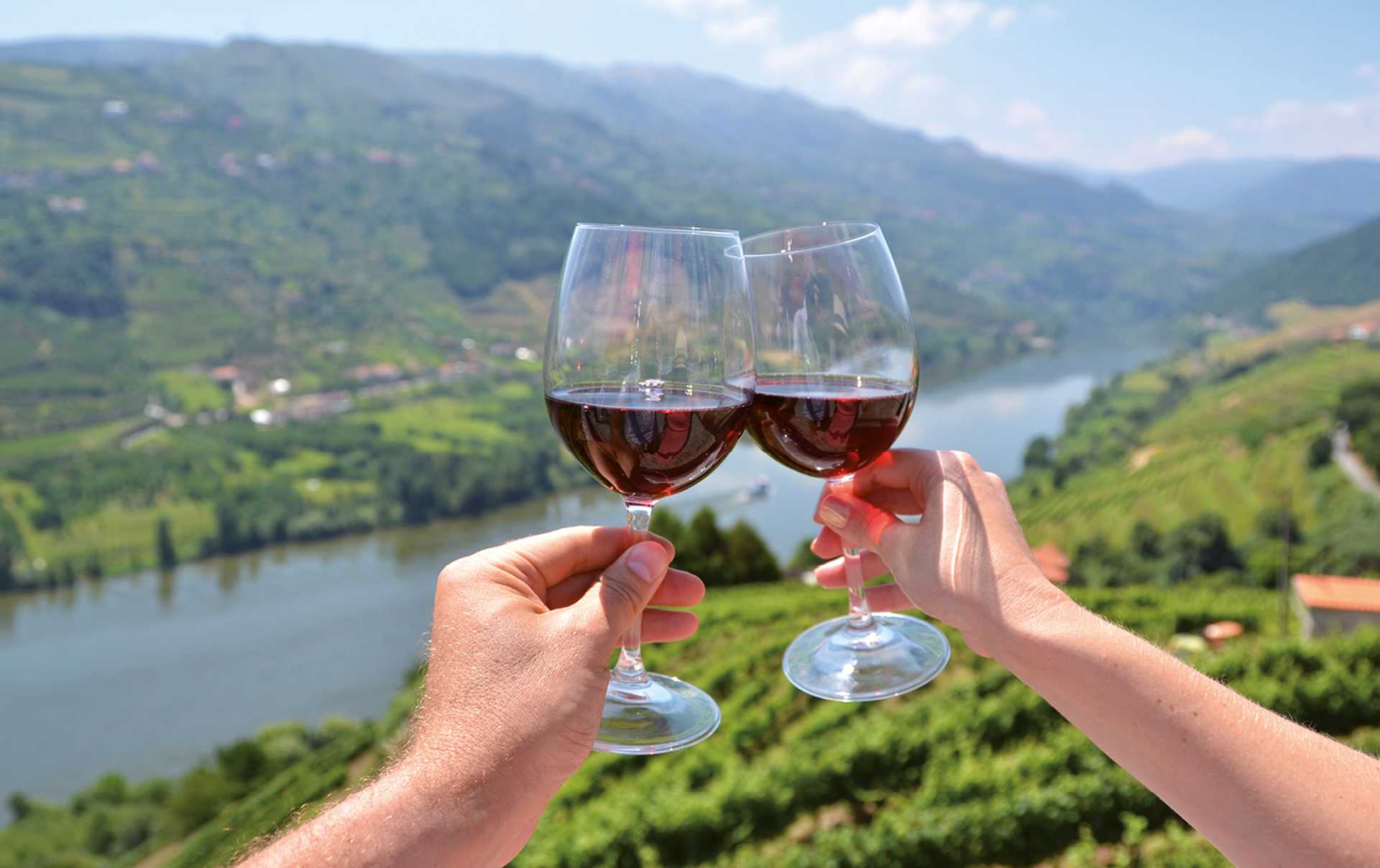 The Douro Valley is famous for its vineyards