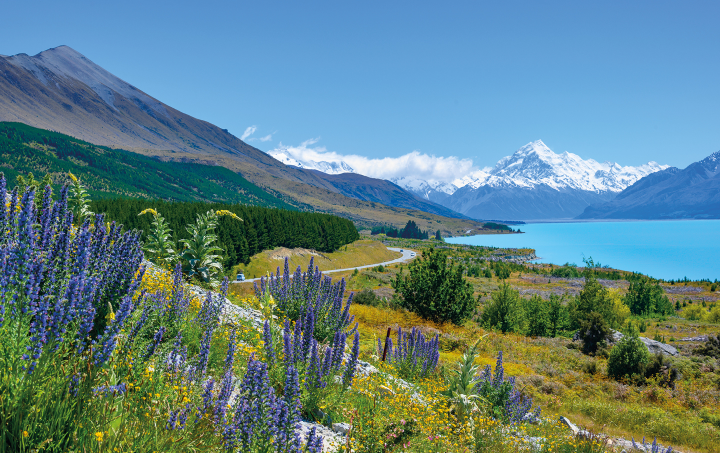 Landscapes New Zealand