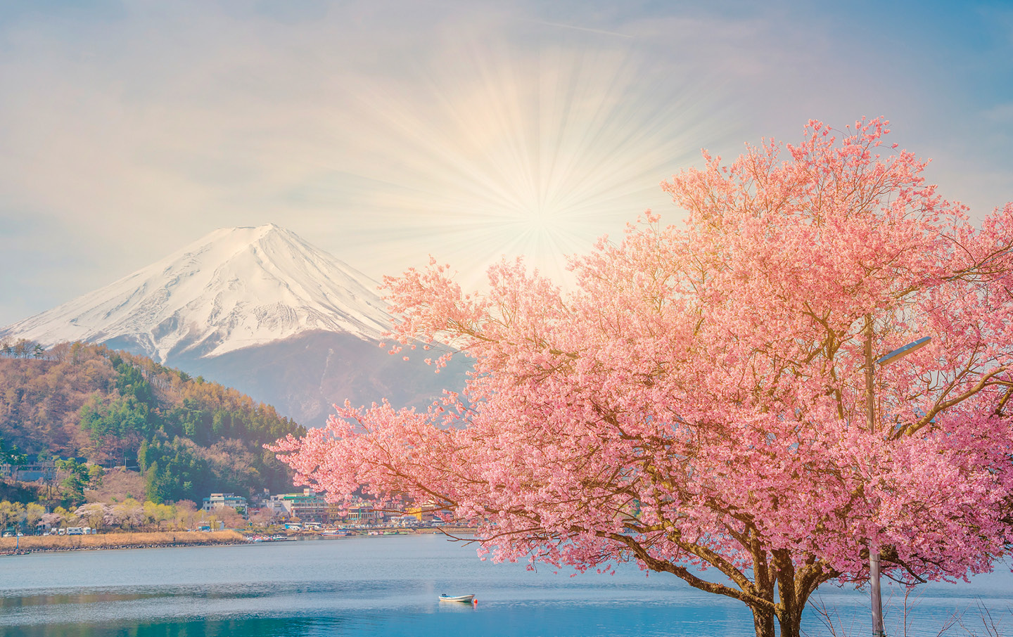 12 top things to see and do in Japan | Saga Holidays