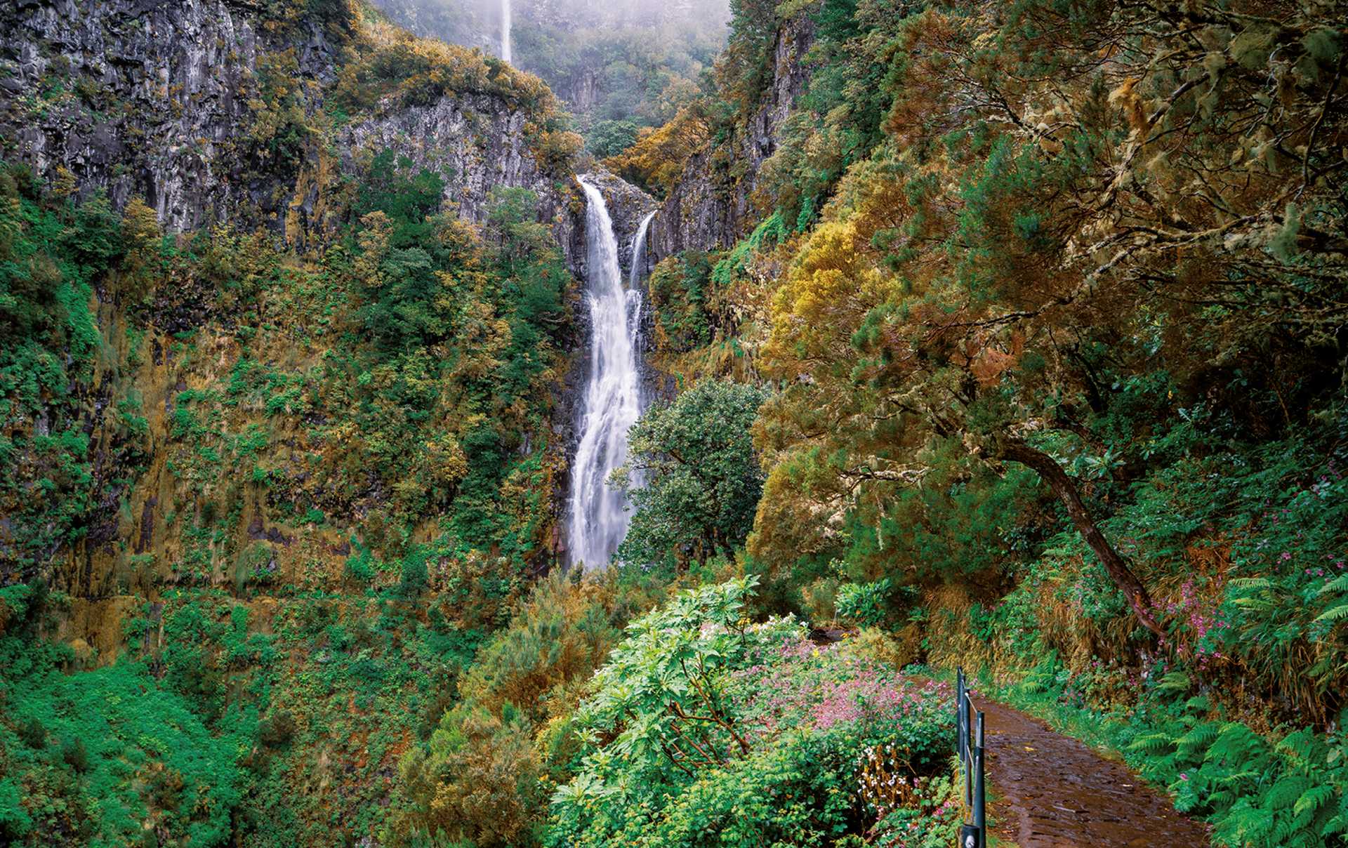 Risco Waterfall, Madeira