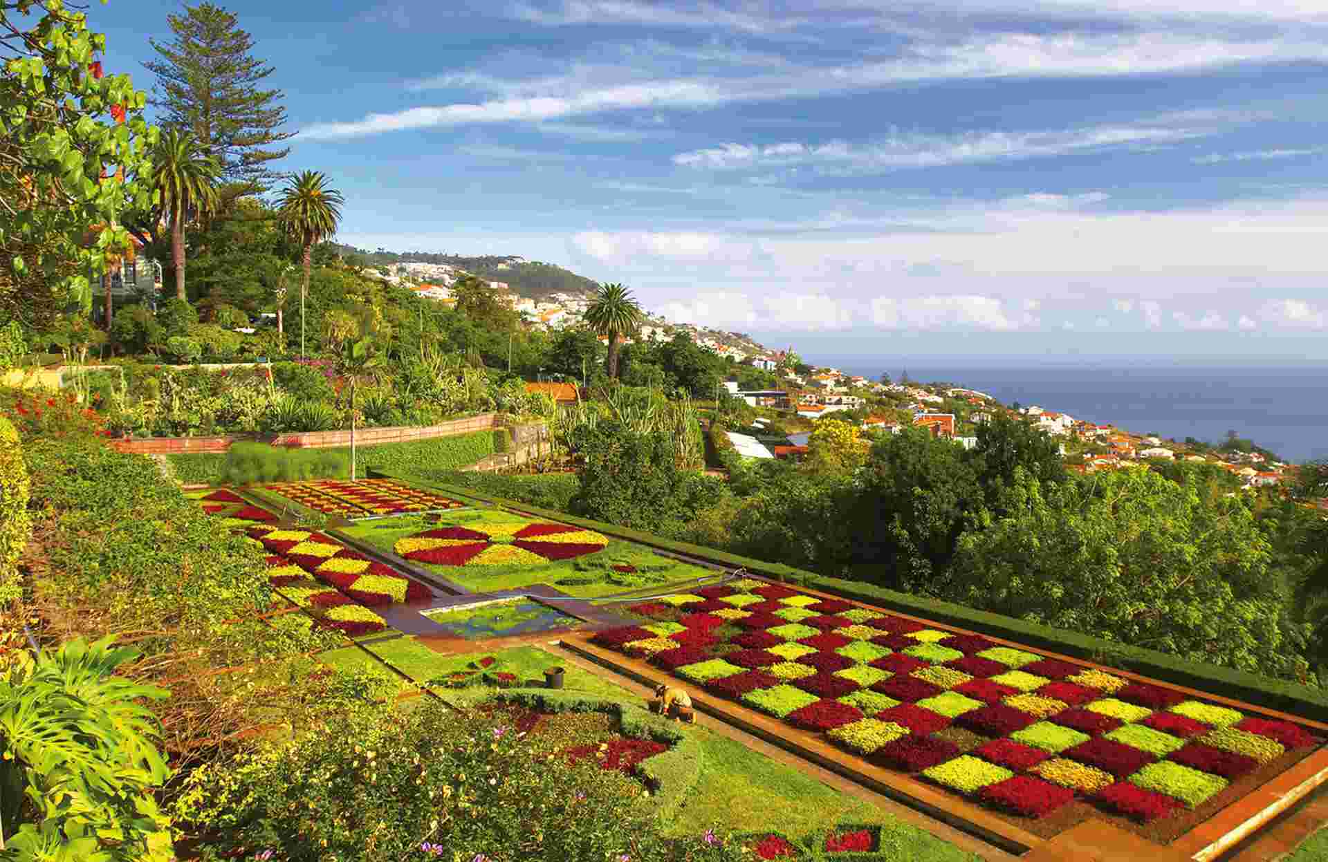 Botanical garden in Portugal, Madeira, Funchal