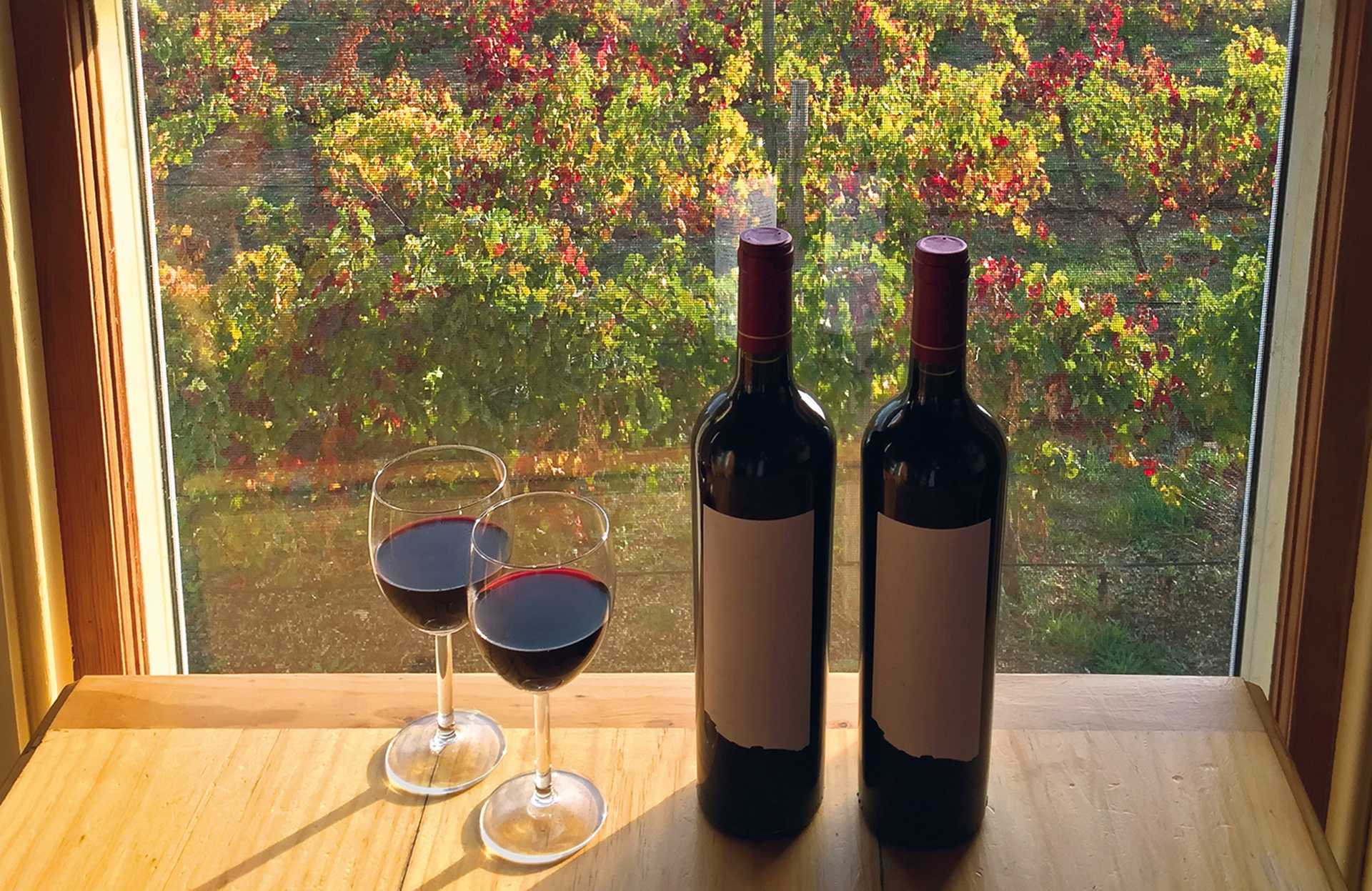 Glass of red wine next to bottles near windows with soft view of vineyard in afternoon. Coonawarra winery region during Autumn in South Australia