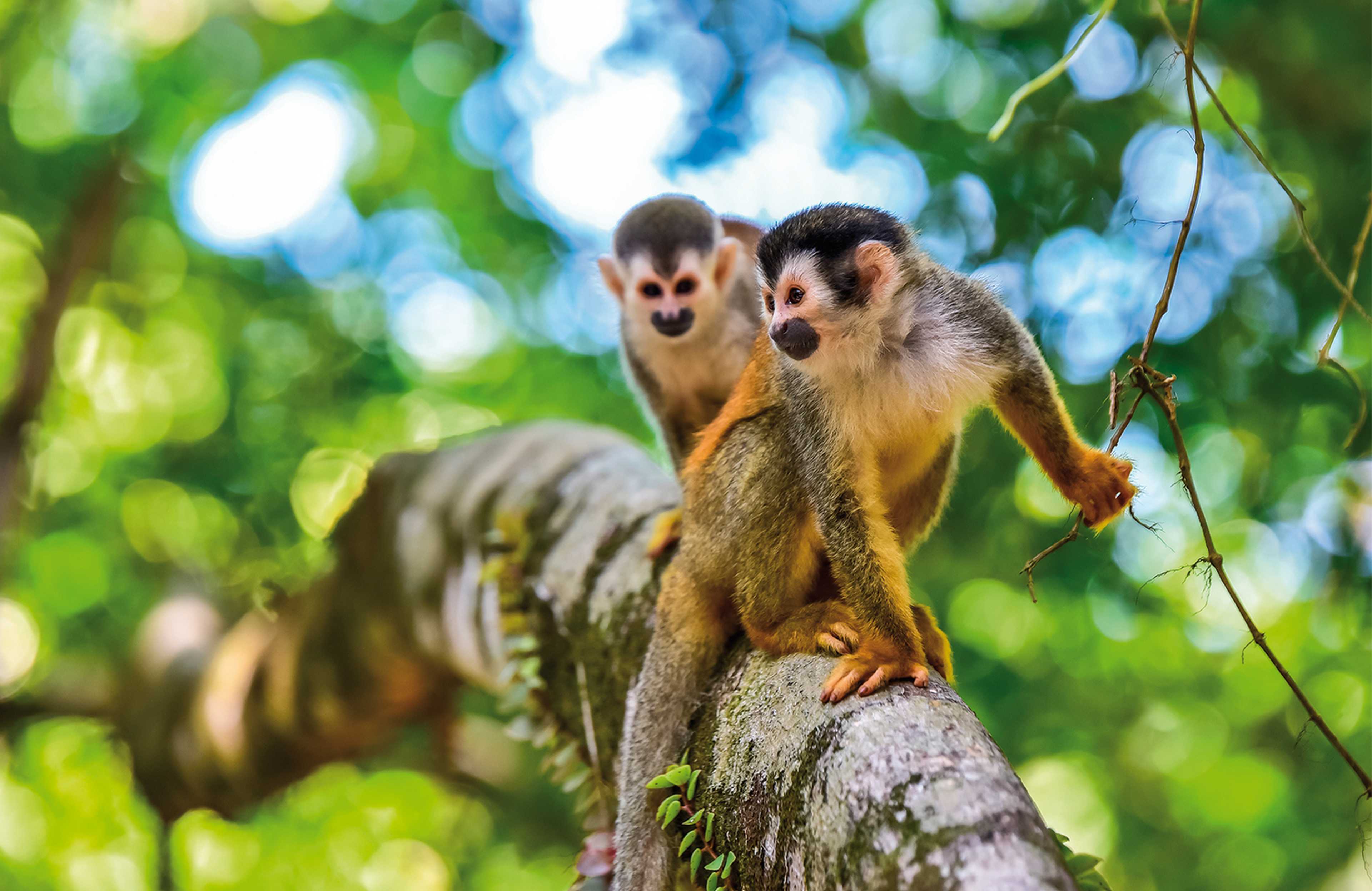 Costa Rica - The Jewel of Central America