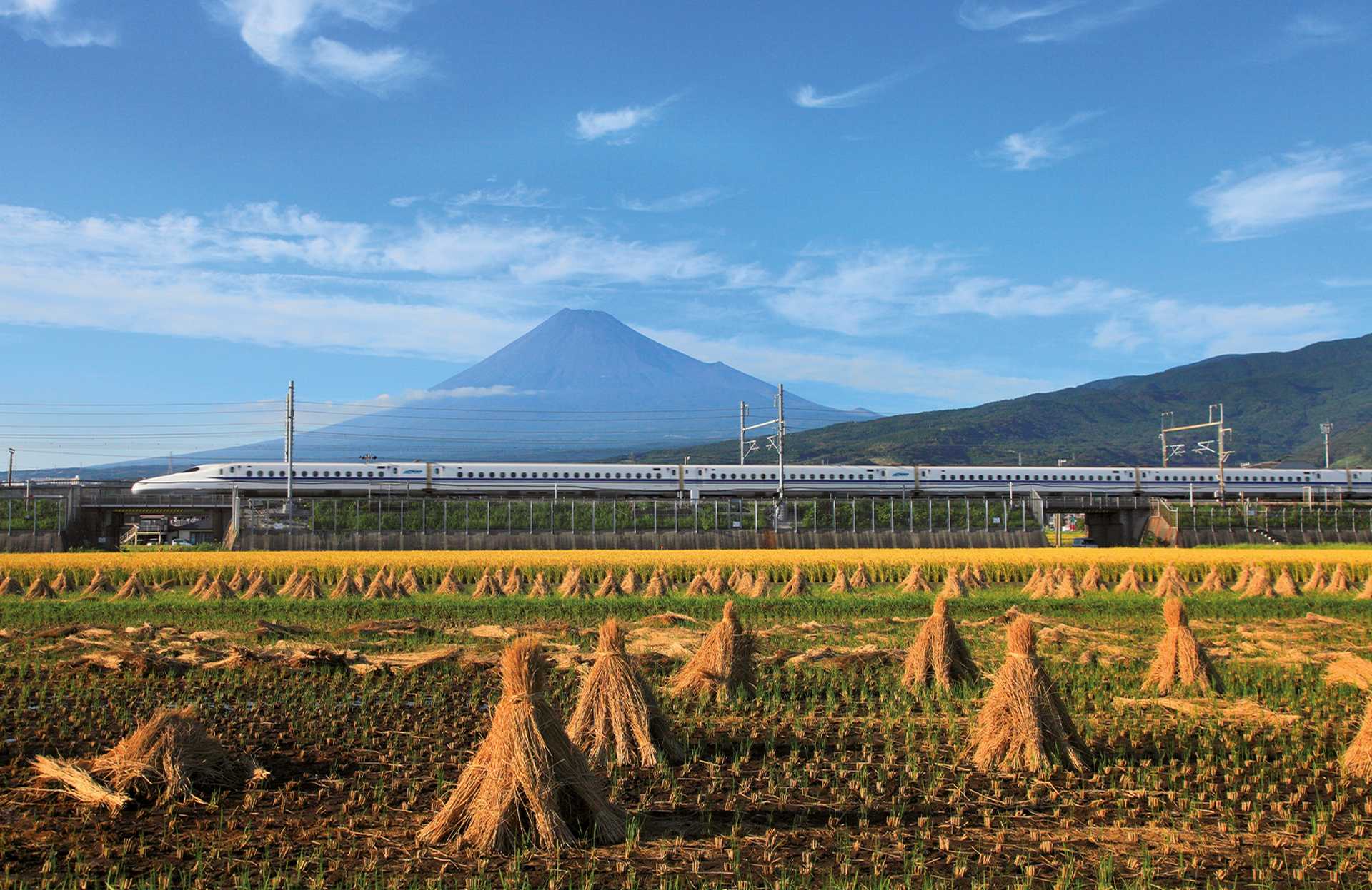 Mount Fuji