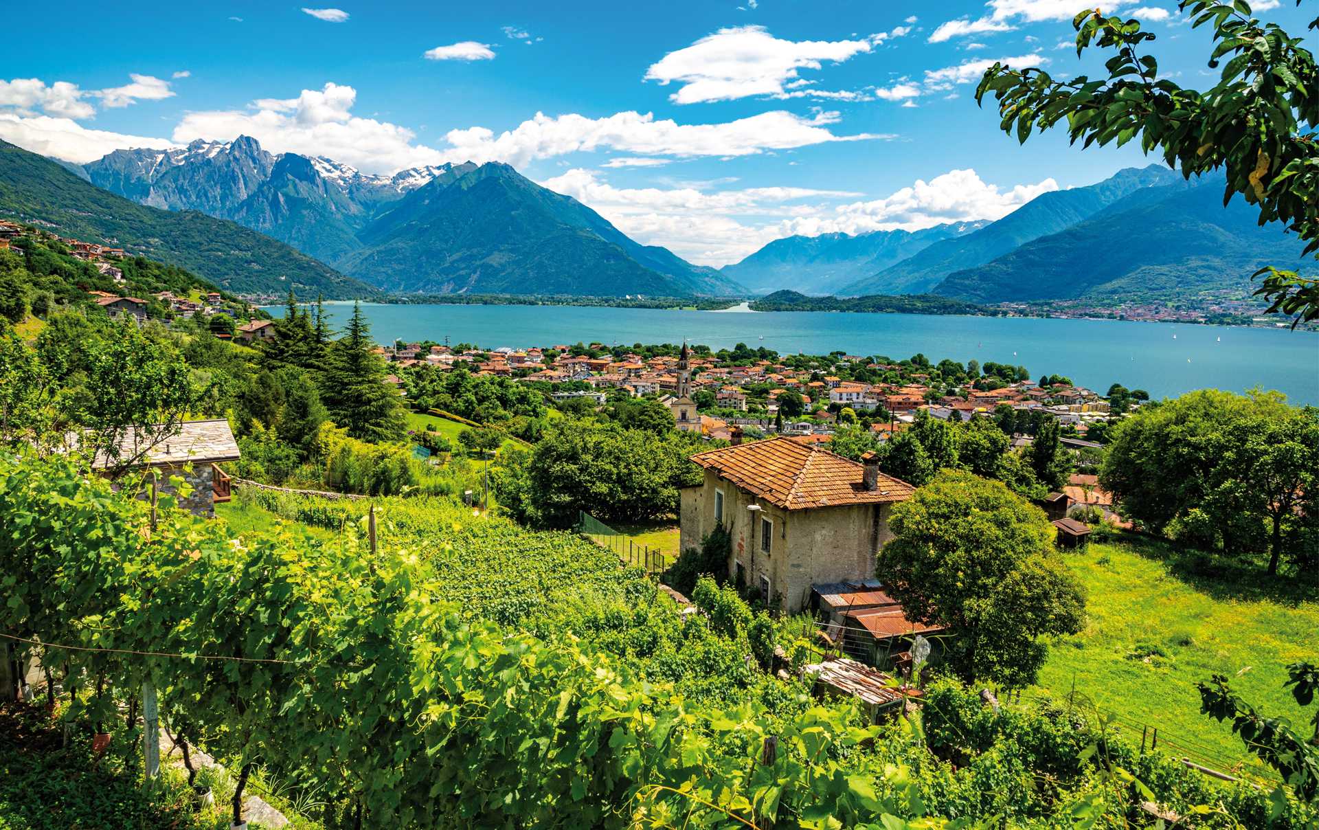 Lombardy is one of the largest wine regions in Italy