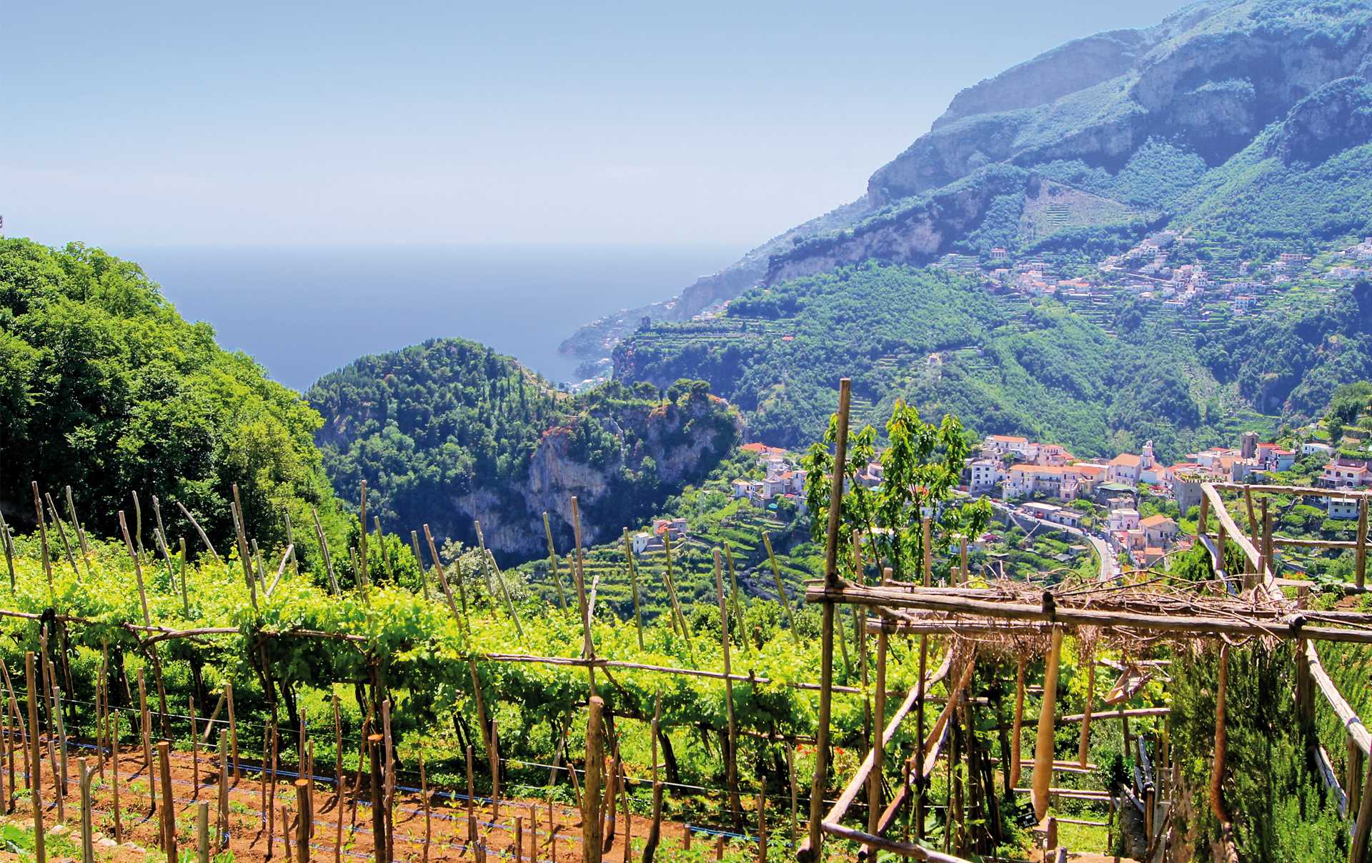 Campania is also one of oldest wine regions of Italy