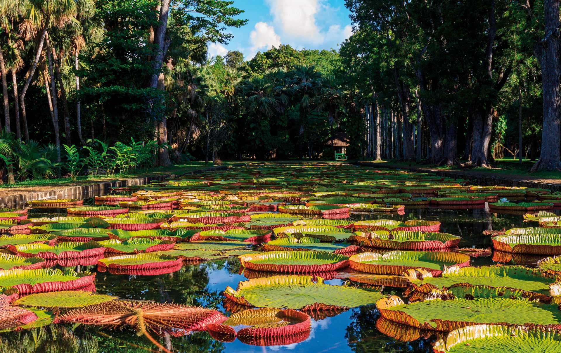 beautiful-botanicals-10-amazing-gardens-to-visit-on-holiday