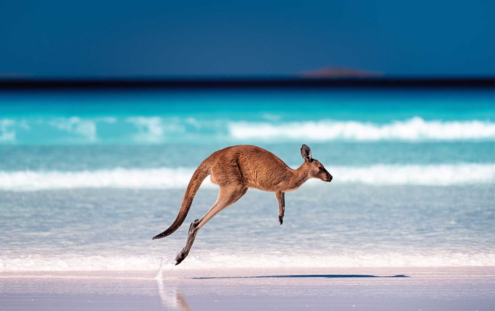 Ninety Mile Beach, Victoria