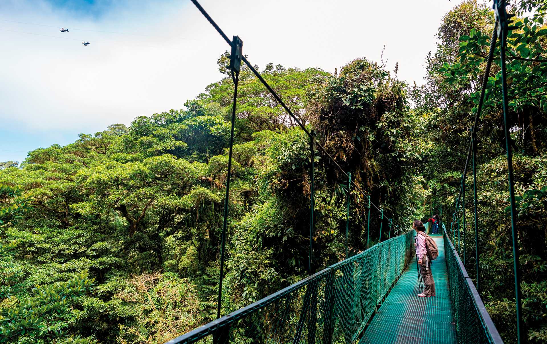 Monteverde Cloud Forest sky walk