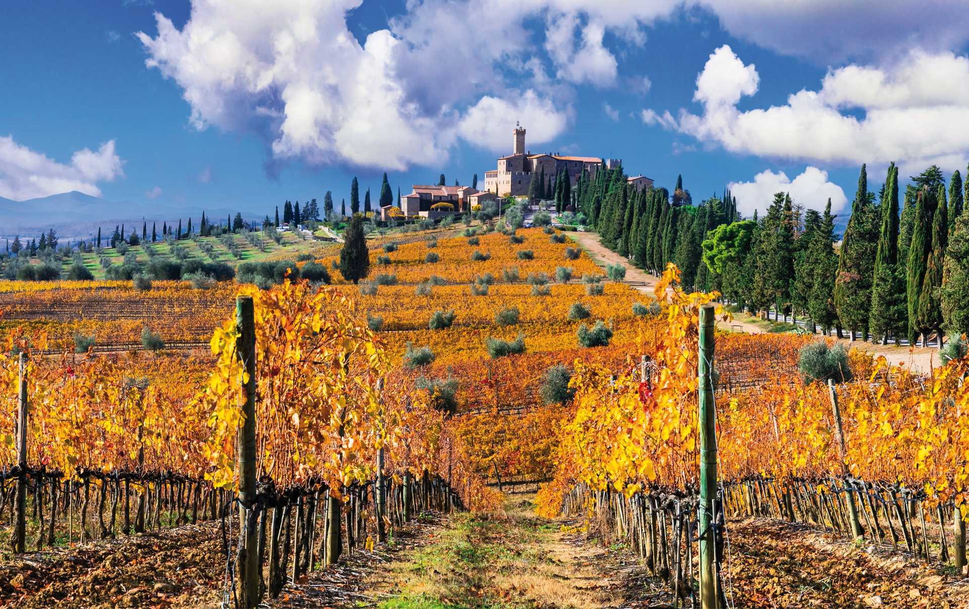 Tuscany, home of Chianti, is one of the most famous wine regions in Italy