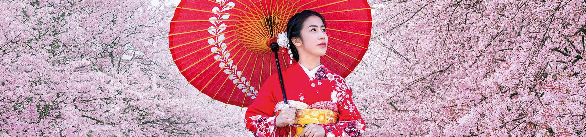 Woman in front of cherry blossom, Japan