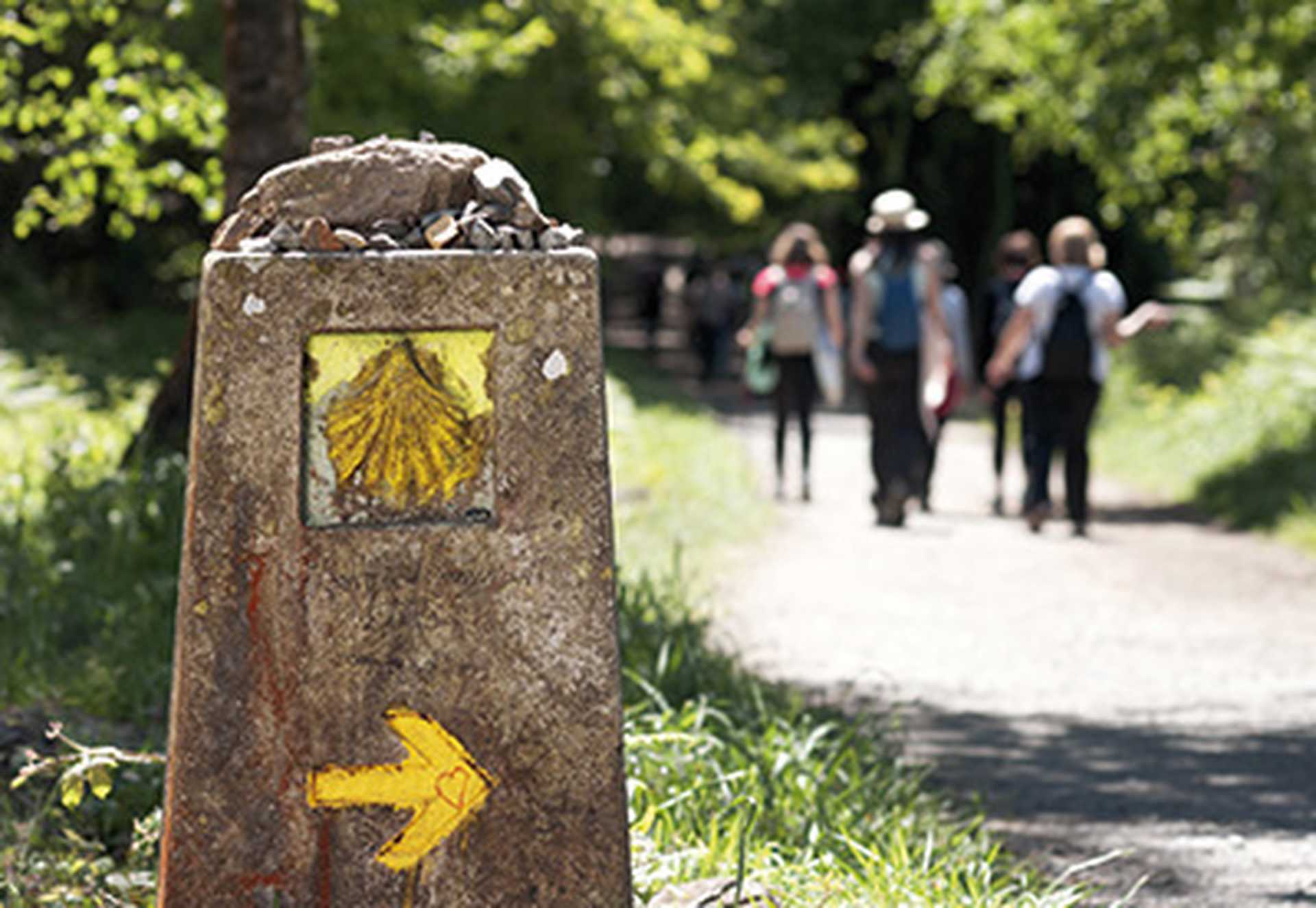 Way of St James, Camino de Santiago, Walking the Santiago Trail, Spain