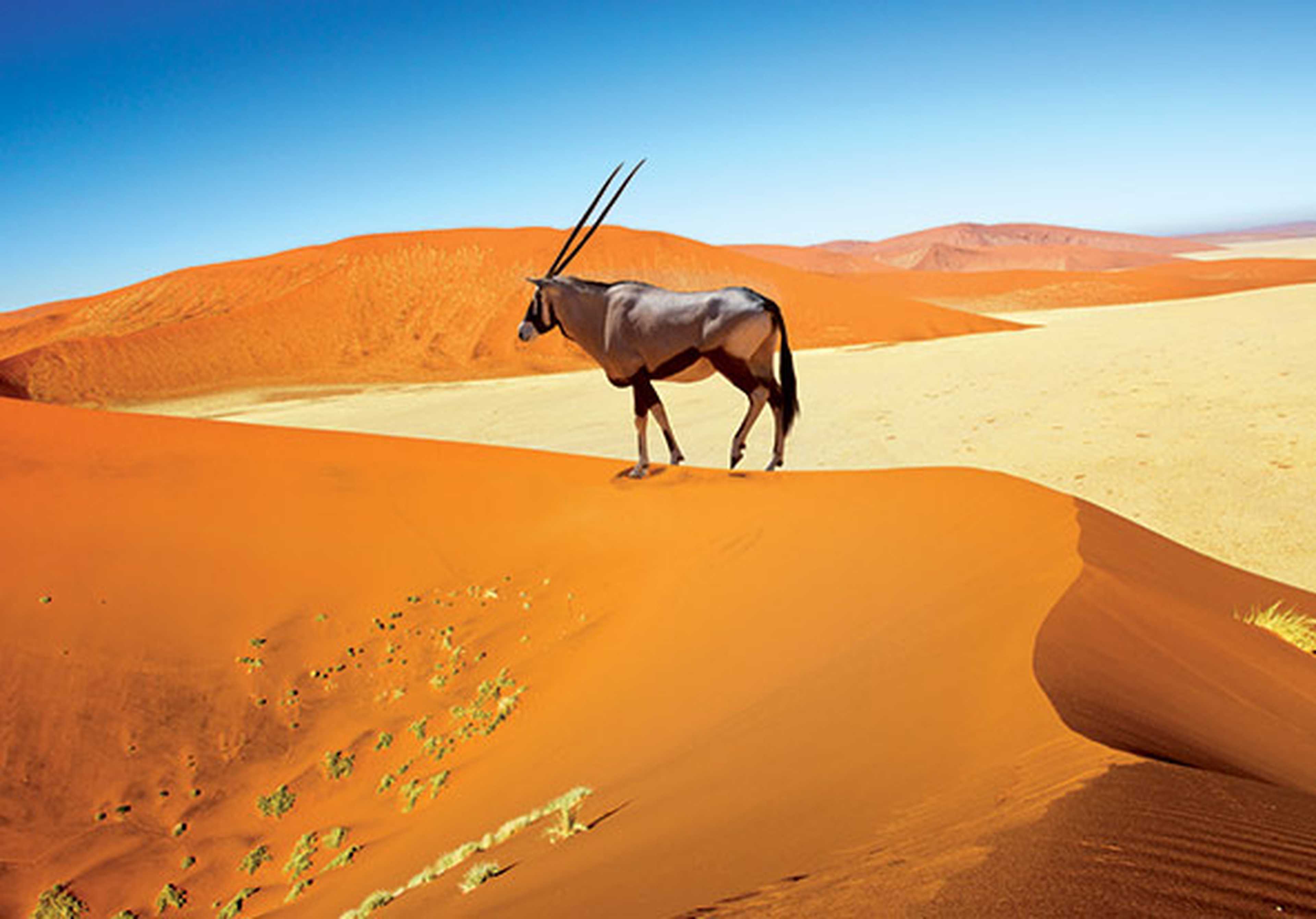 Namibia holidays