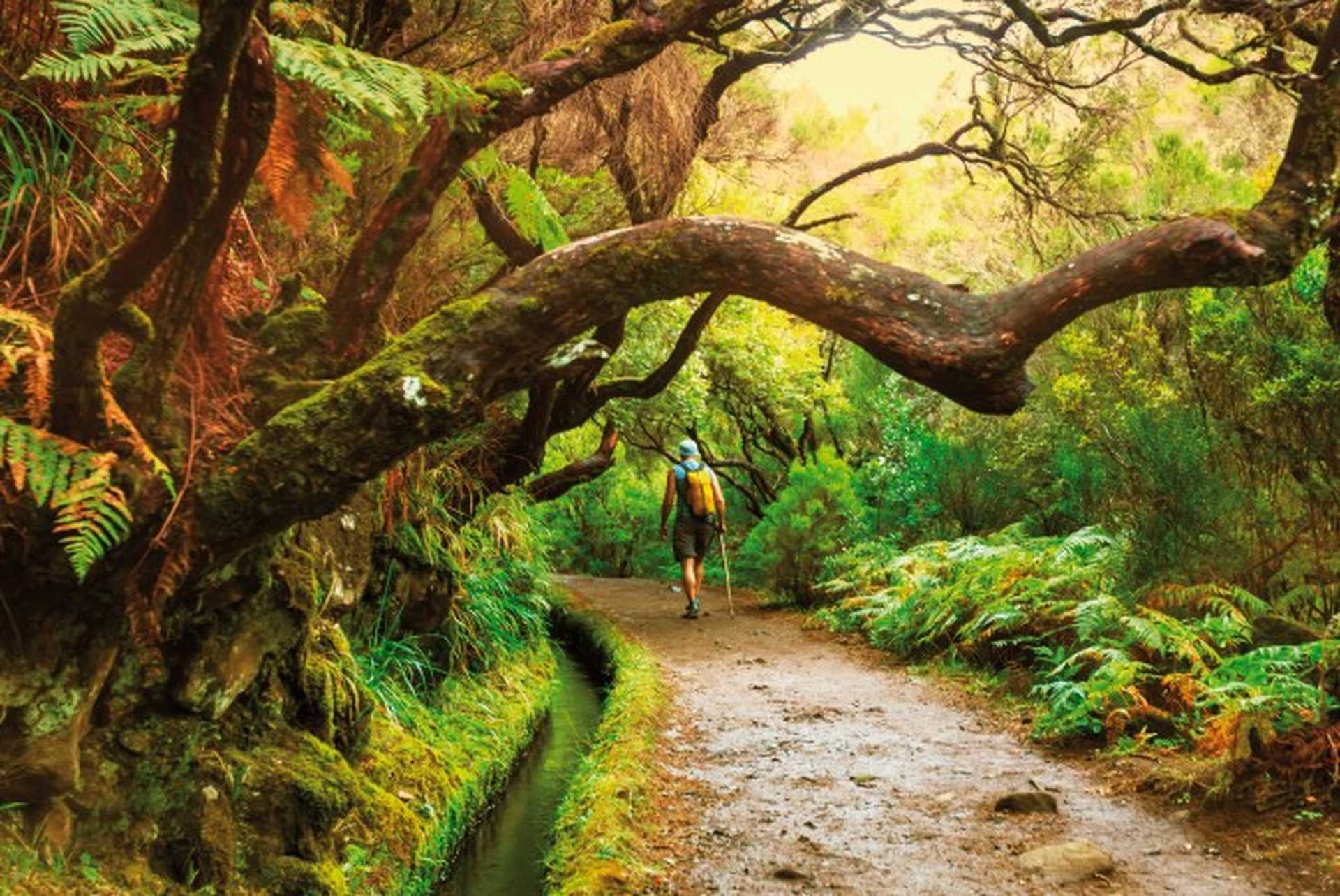 Walking holidays