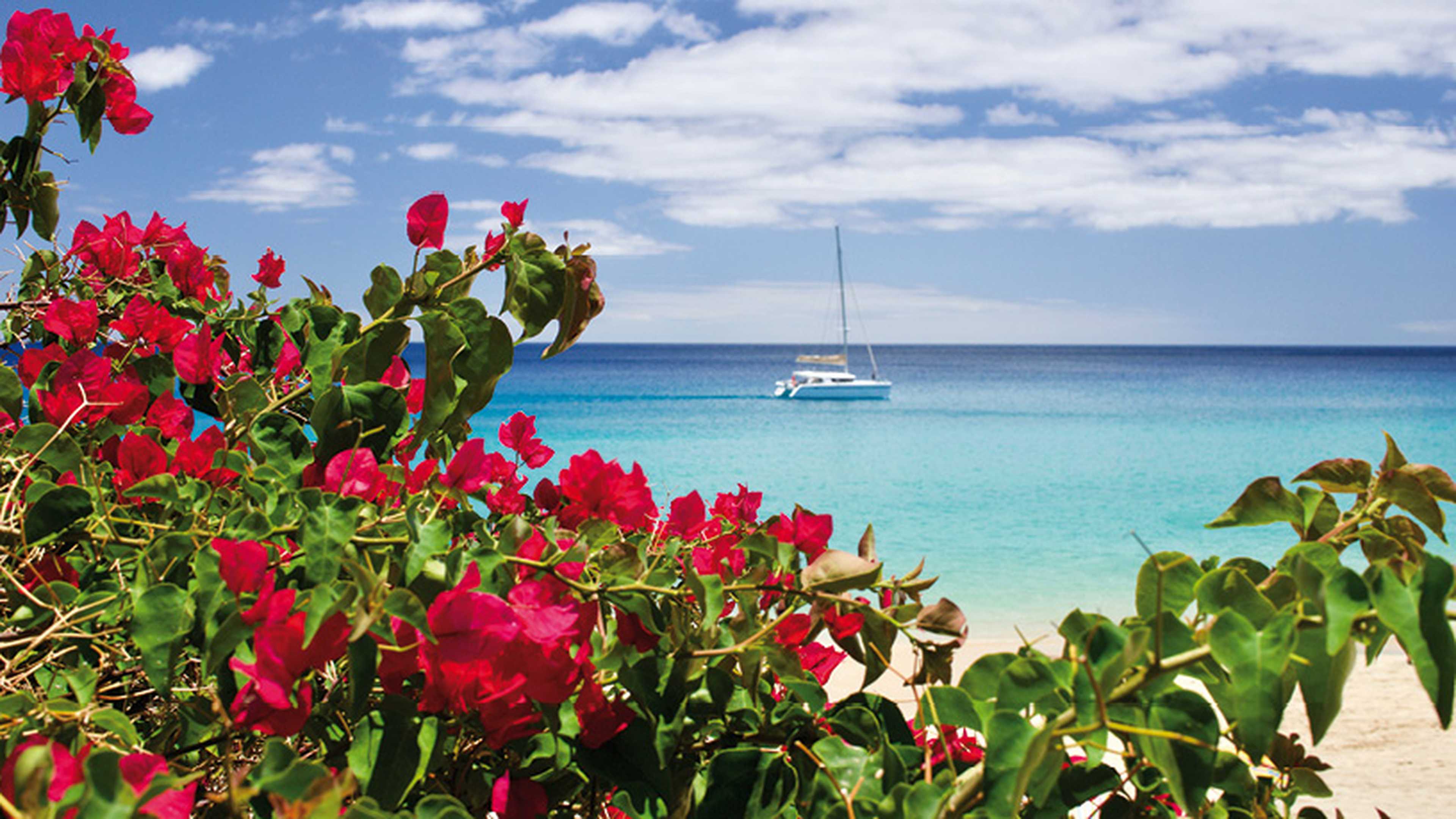 H10 Playa Esmeralda Saga Holidays