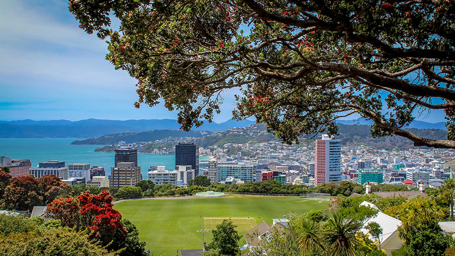 Wellington New Zealand