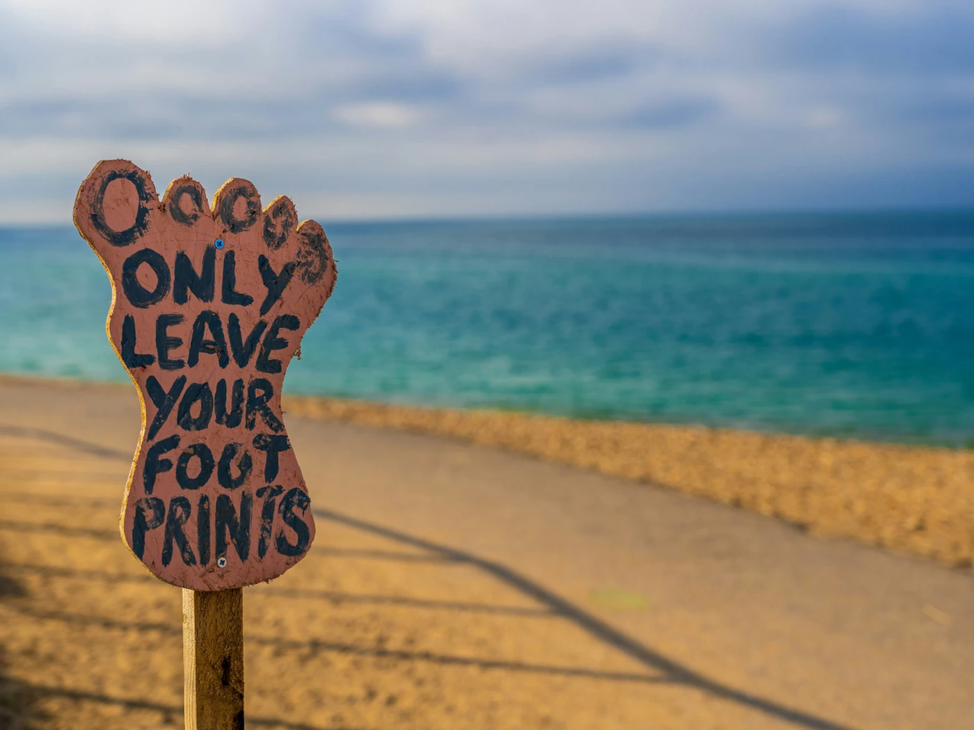 sustainability littering beach