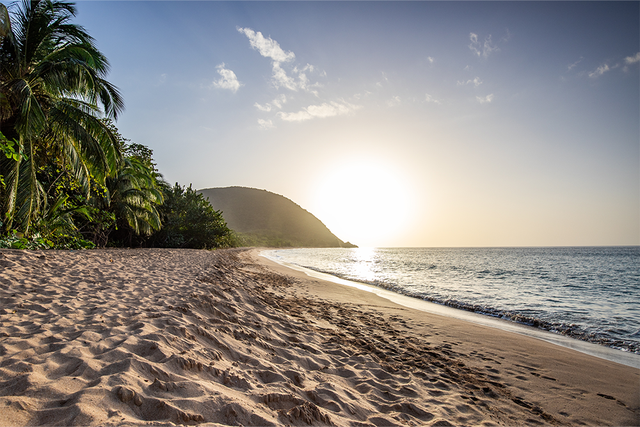 Guadeloupe, a Caribbean island in the French Antilles. View over Grande Anse beach. Lonely bay, feet in the sand and looking out to sea at sunset. Landscape shot of a tropical dream, waves, palm trees