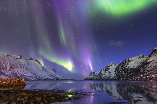 Aurora borealis lights up the night sky over snow-covered mountains and a calm fjord, reflecting vibrant green and purple hues in the water.