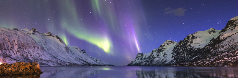 Northern lights with green and purple hues illuminate a starry sky over snow-covered mountains and a calm fjord.