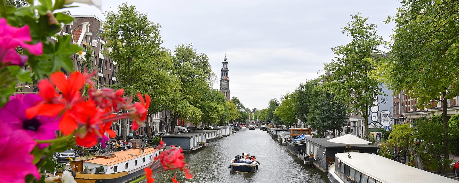 Dutch Escape