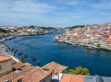 2025/26 Season Cruises | Ambassador Cruise Line