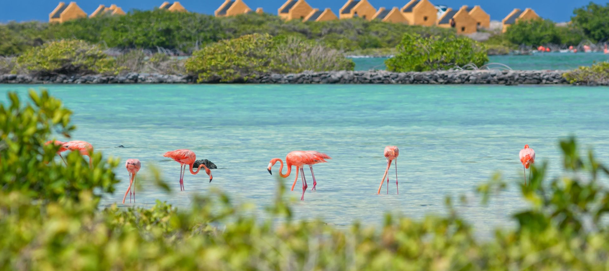 Kralendijk, Bonaire, Caribbean Islands