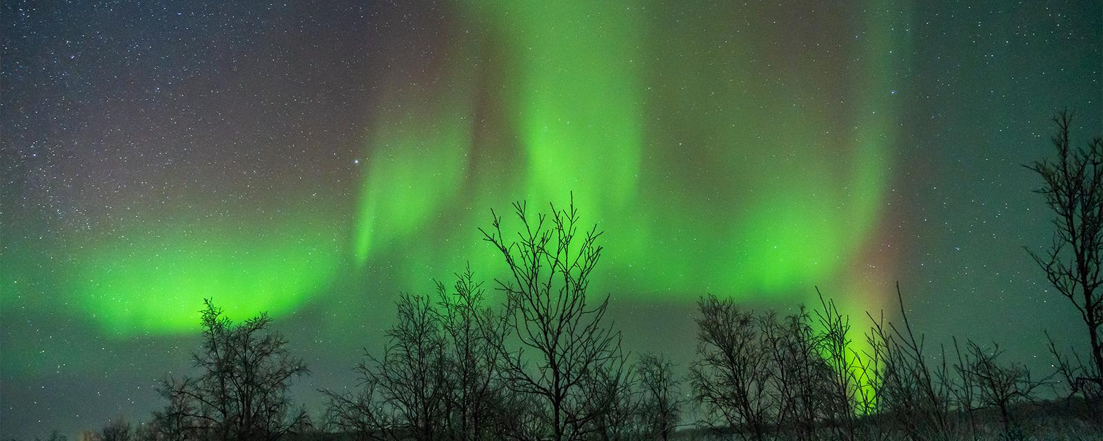 Aurora Borealis & Arctic Norway Discovery