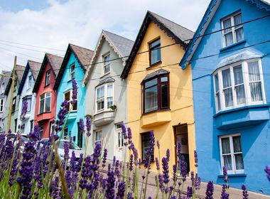 A Taste of Ireland thumbnail