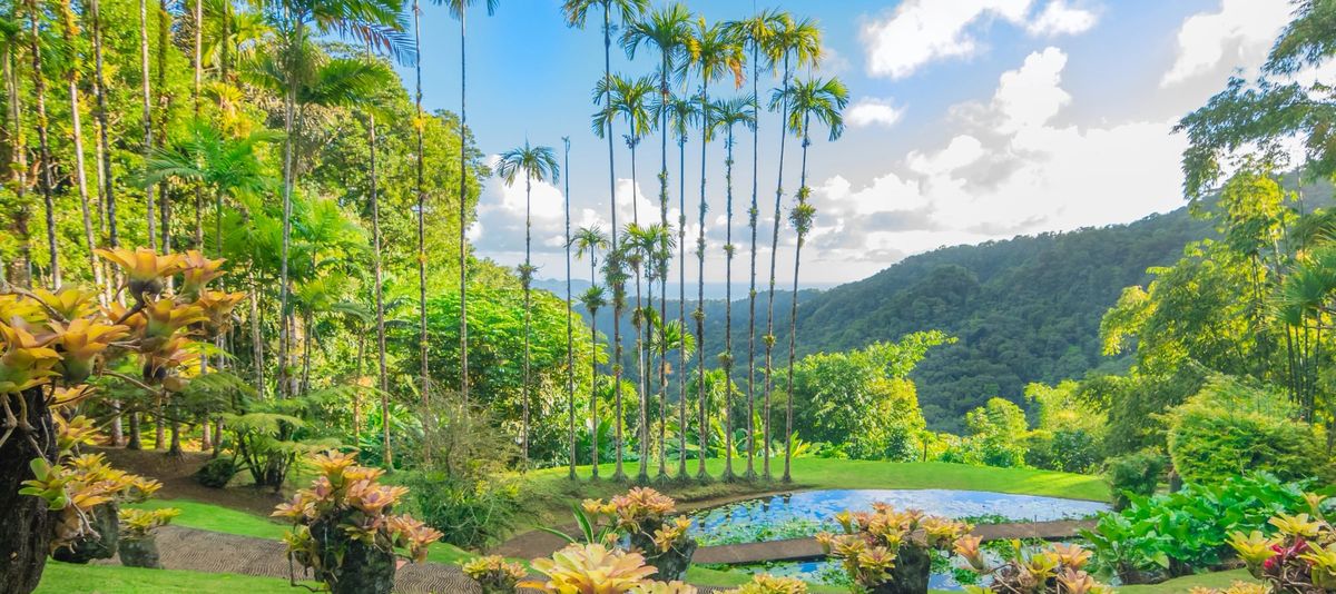 Martinique, French West Indies, Caribbean