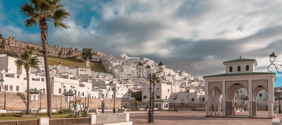 A scenic view of the Moroccan town, Tetouan with white buildings on a hillside, palm trees, and a traditional archway.