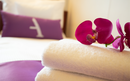 Orchid on folded white towels with a purple Ambassador pillow in the background on a neatly made bed.
