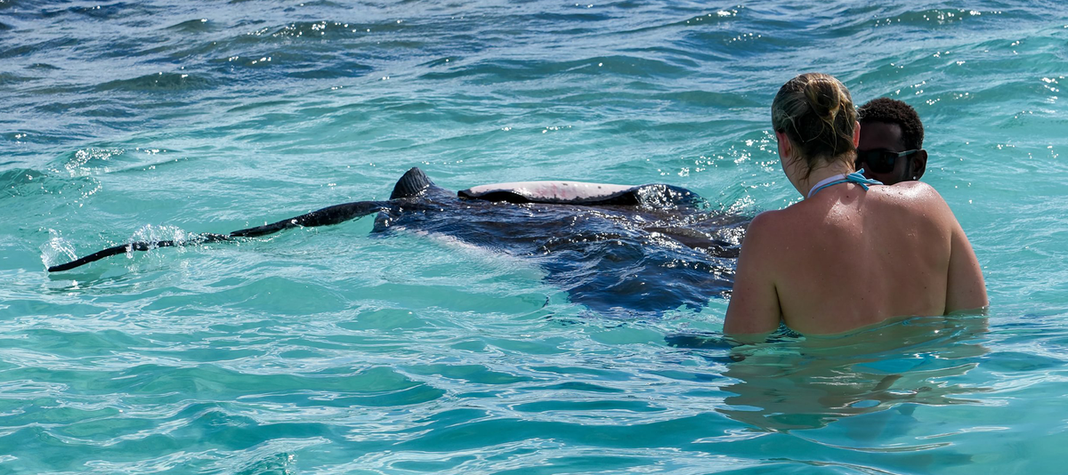 St Johns, Antigua, Caribbean