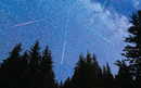 Perseid Shower