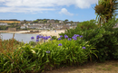 Coastal village scene with a sandy beach, distant cottages, and vibrant purple flowers and greenery in the foreground, in S Mary, UK