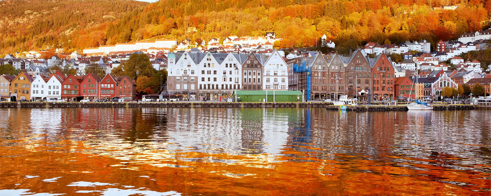 Autumn Fjord Escape