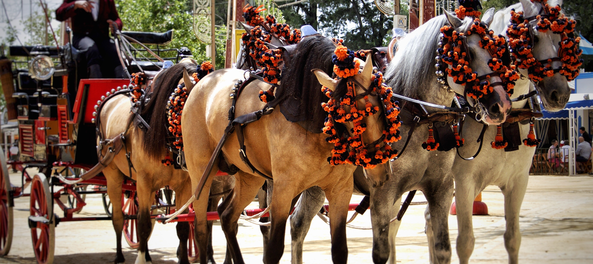 Andalusian horses and carriage in Feria del Caballo, Jerez de la Frontera (Cadiz, Spain)