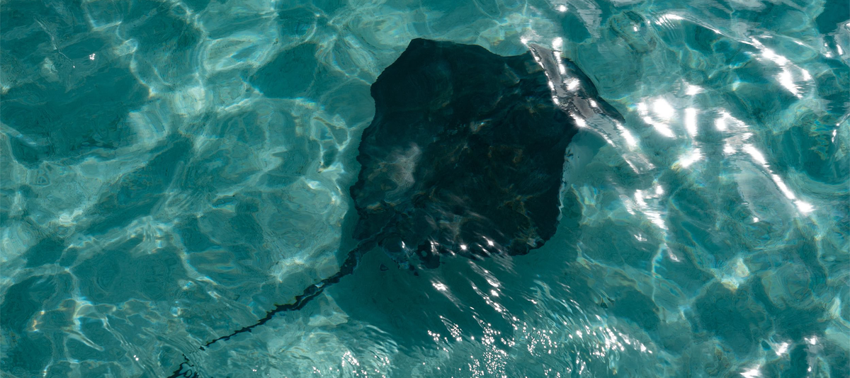 St Johns, Antigua, Caribbean