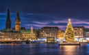 Town hall with christmas markets and tree during christmas time in december in Hamburg, Germany.