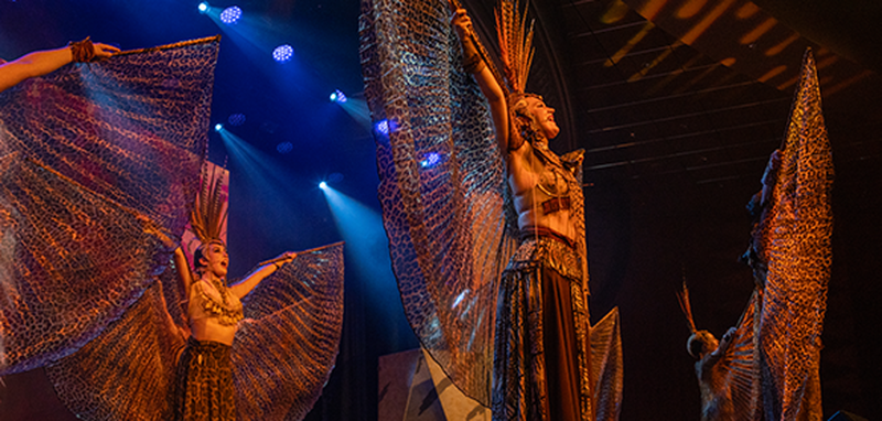 SHOW IN PALLADIUM ON AMBITION