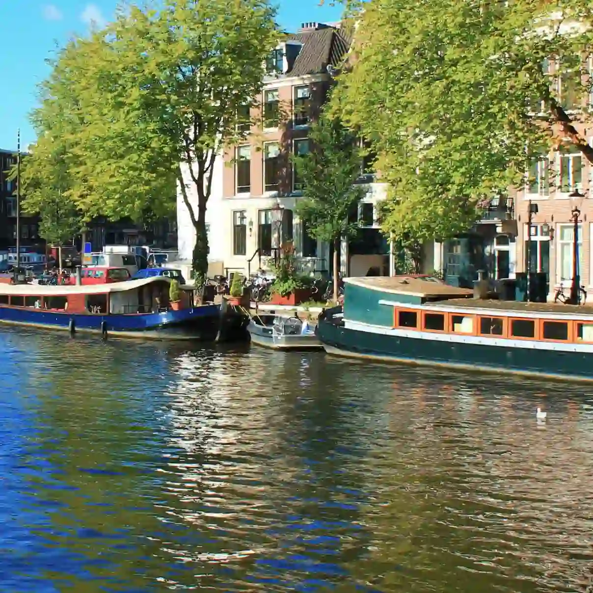 Houseboats and traditional buildings line a sunlit canal in amsterdam, with lush trees and clear blue skies reflecting in the calm water.