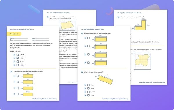 Diagnostic Assessment Perimeter And Area Year 5